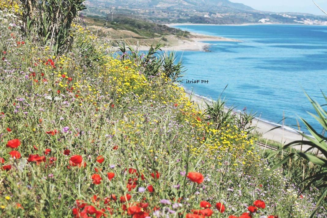 Cirò Marina Climatizzato In Centro A 100M Dal Mareヴィラ エクステリア 写真